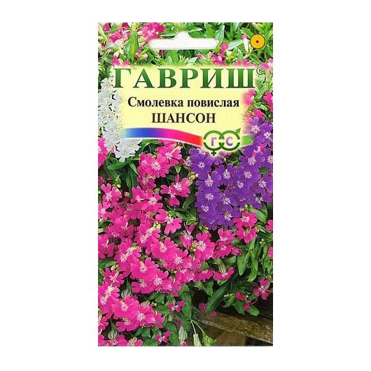 Смолевка повислая Шансон (силена)* 0,1 г