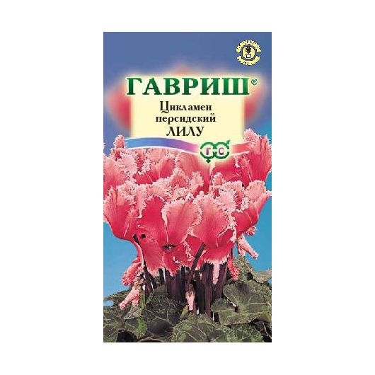 Цикламен Лилу персидский* 3 шт.