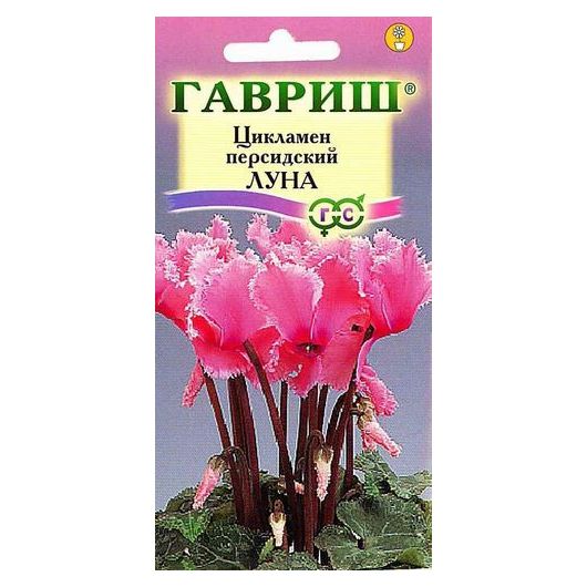 Цикламен Луна персидский* 3 шт.
