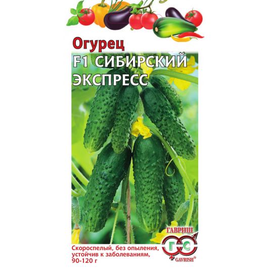 Огурец Сибирский экспресс F1 10 шт. автор.