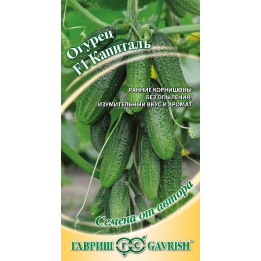 Огурец Капитал F1 10 шт. автор.