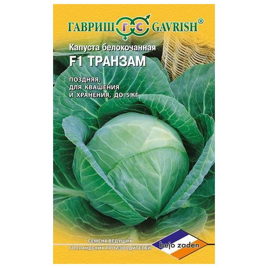 Капуста белокоч. Транзам F1 10 шт. для хранения (Голландия)