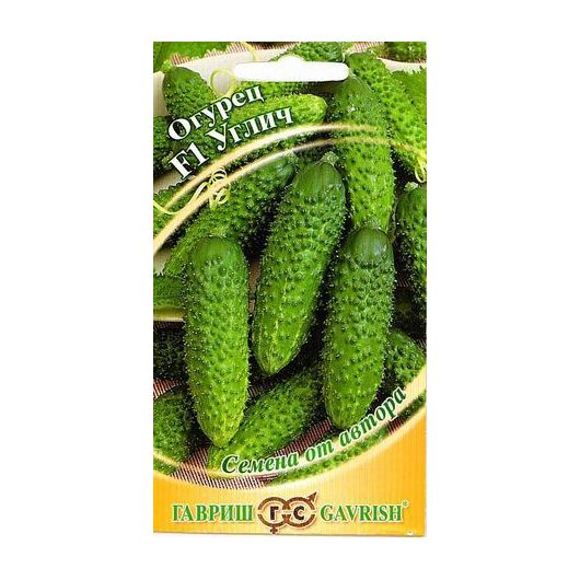 Огурец Углич F1 10 шт. корнишон автор.