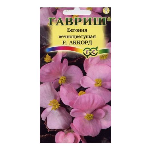 Бегония Аккорд F1 вечноцв. гранул. 5 шт. пробирка