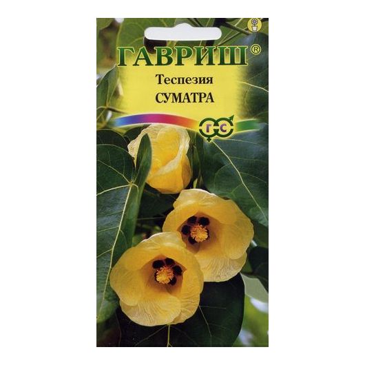 Теспезия Суматра 3 шт.