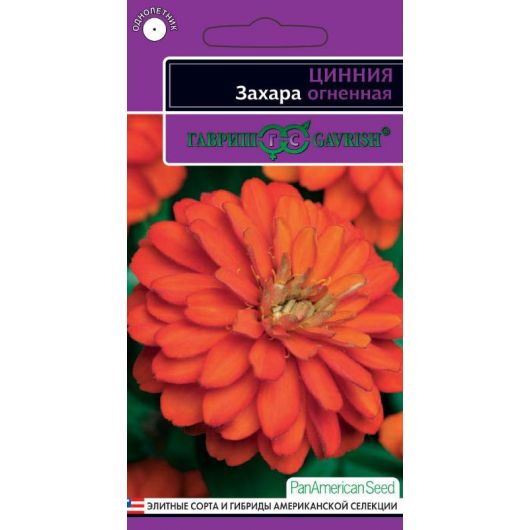 Цинния Захара огненная 5 шт. серия Эксклюзив