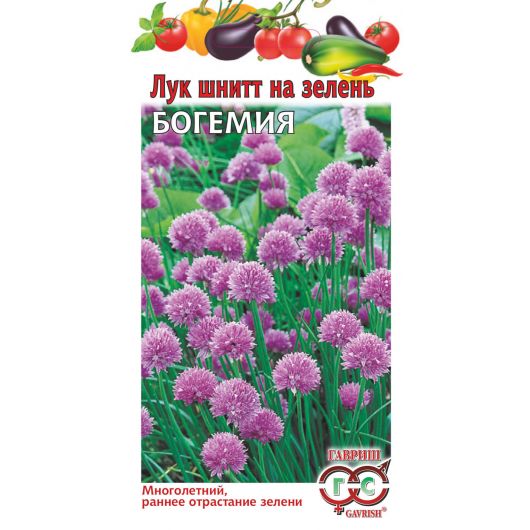 Лук шнитт Богемия 0,5 г