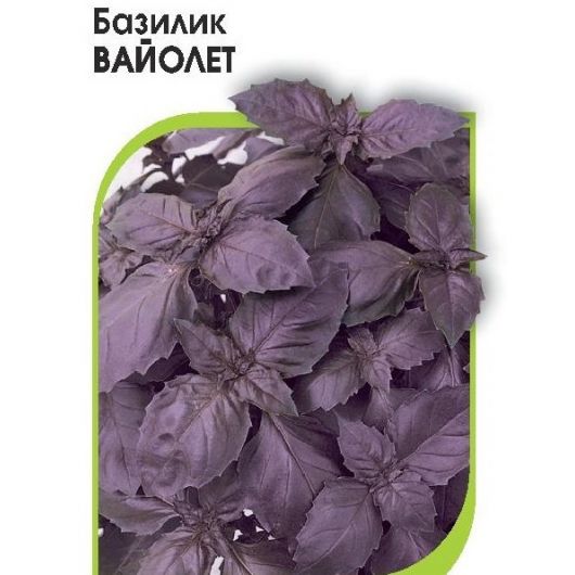 Базилик Вайолет 10,0 г (Голландия)