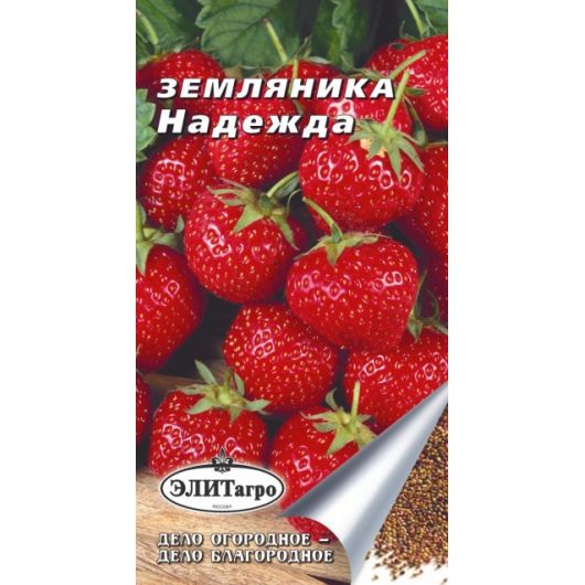Земляника Надежда 0,04 г Элитагро