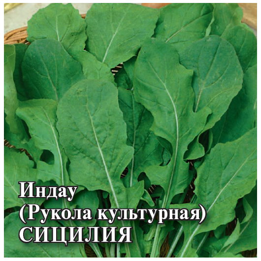 Индау (рукола культурная) Сицилия 25,0  г