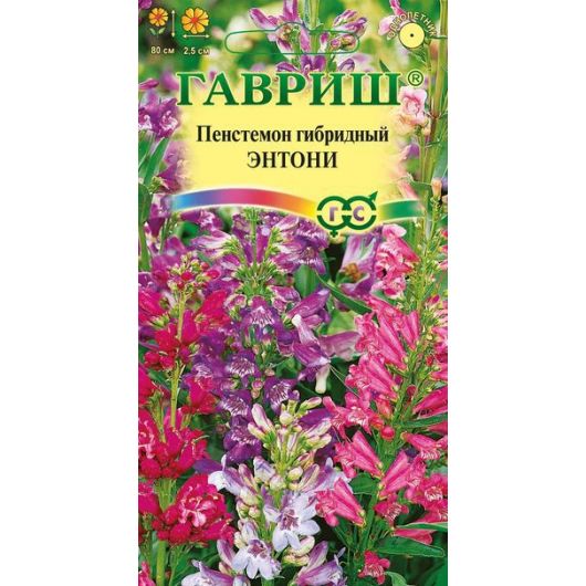 Пенстемон гибридный Энтони*, смесь 0,1 г