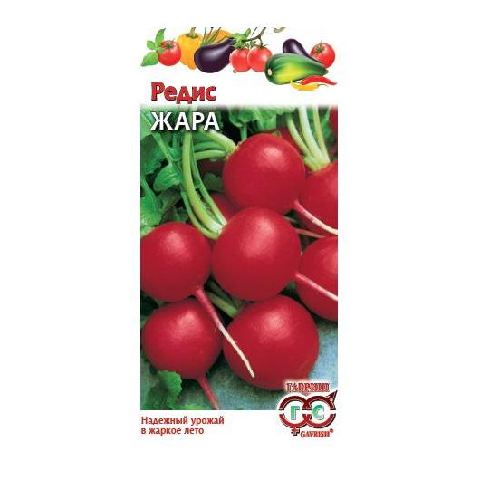 Редис Жара 3,0 г