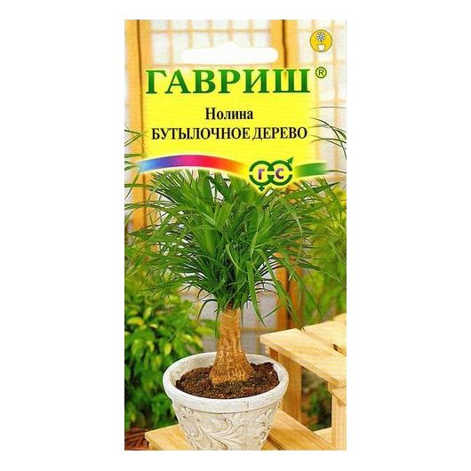 Нолина Бутылочное дерево*  3 шт.