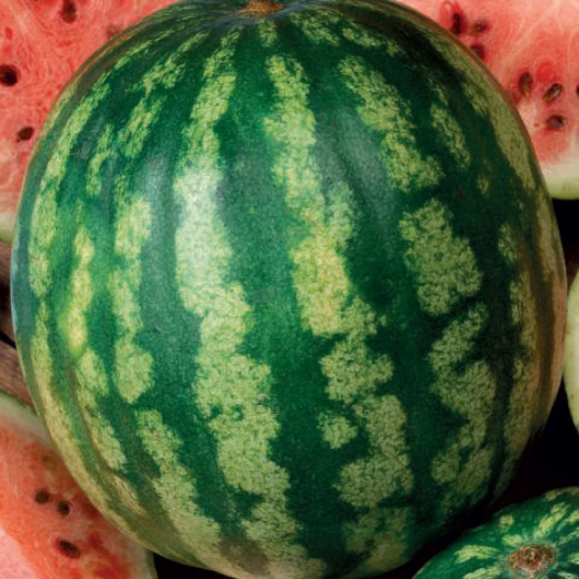 Арбуз Медовый вкус 25 г