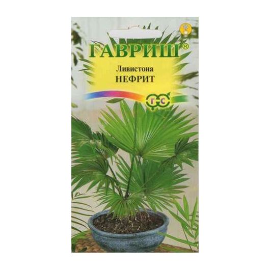 Ливистона китайская Нефрит 3 шт.