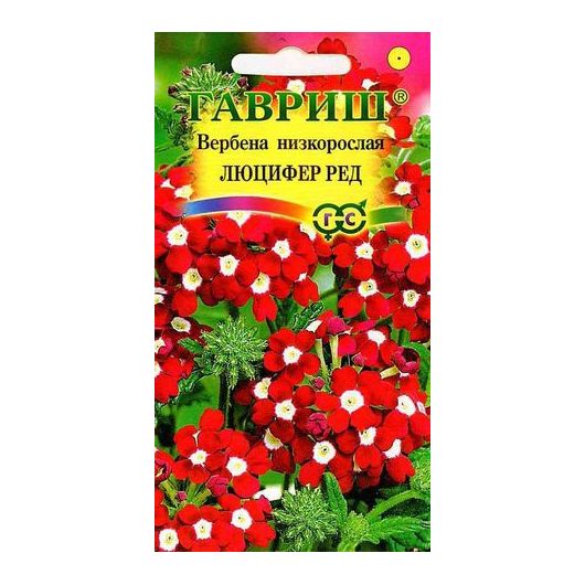 Вербена Люцифер Ред, гибридная*  0,05 г