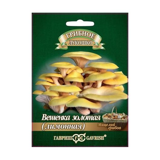 Вешенка золотая Лимонная на древесн. палочке, больш. пак. 12 шт