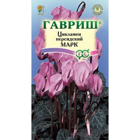 Цикламен Марк персидский* 3 шт.