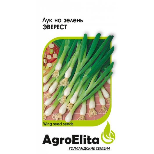Лук батун Эверест, на зелень 100 шт. (Винг Сид) Агроэлита