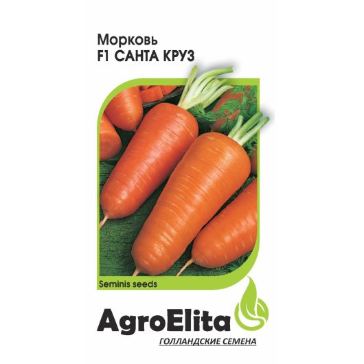 Морковь Санта Круз F1 0,3 г (Семинис) Агроэлита
