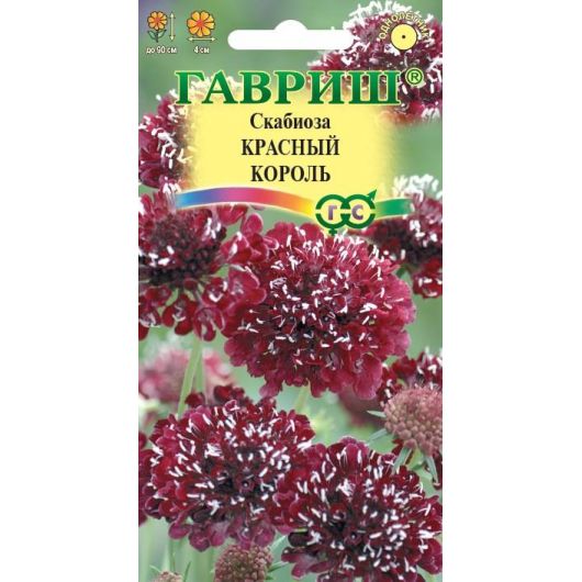 Скабиоза темнопурпурная Красный король махр. 7 шт.