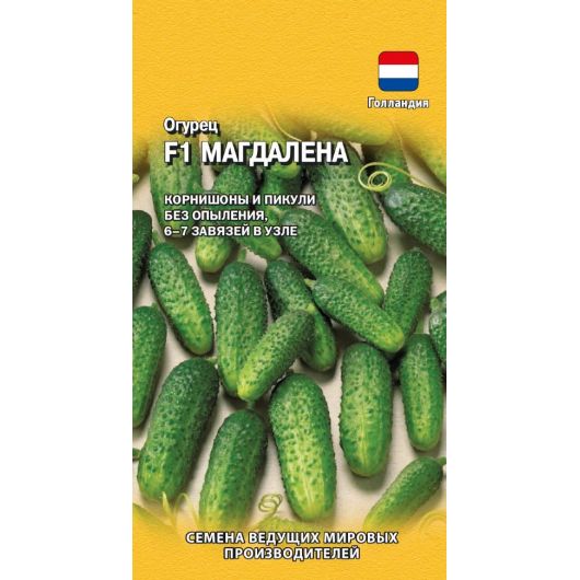 Огурец Магдалена F1 5 шт. (Голландия)
