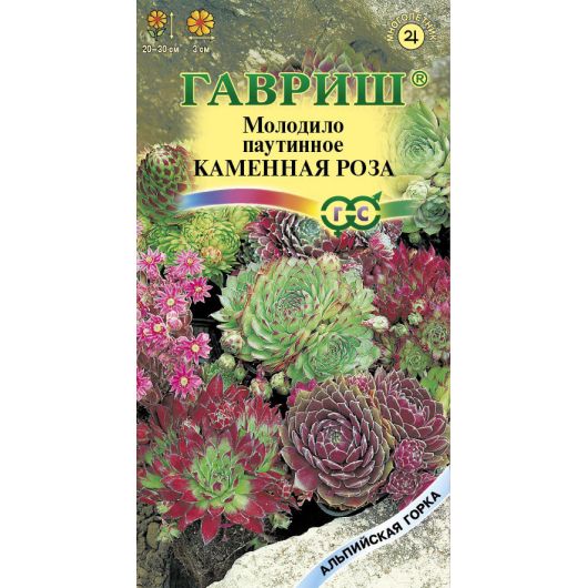 Молодило Каменная Роза* 0,01 г серия Альпийская горка