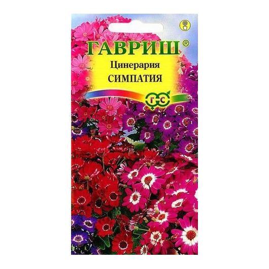 Цинерария цветущая гибридная Симпатия* 10 шт.