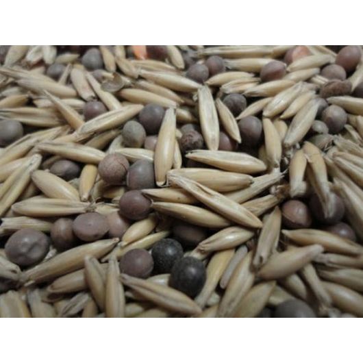 Вико-ржаная смесь 0,5 кг