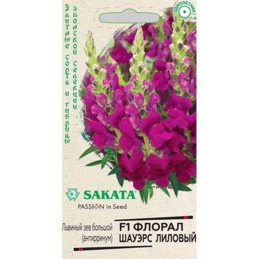 Львиный зев (Антирринум) Флорал Шауэрс лиловый F1* 7 шт. Саката серия Элитная клумба