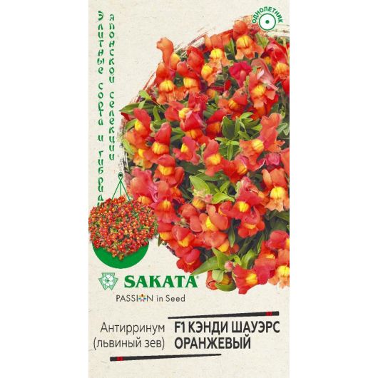 Львиный зев (Антирринум) Кэнди Шауэрс оранжевый F1* 3 шт. Саката серия Элитная клумба