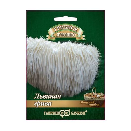 Ямабуши Львиная грива на древесной палочке, больш. пак. 12 шт