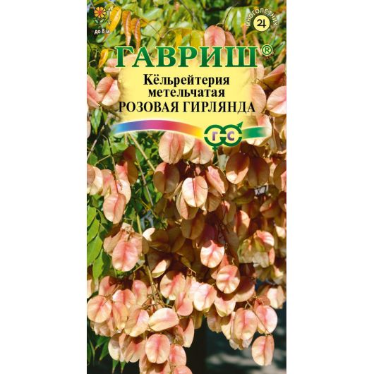 Кёльрейтерия Розовая гирлянда, метельчатая 10 шт