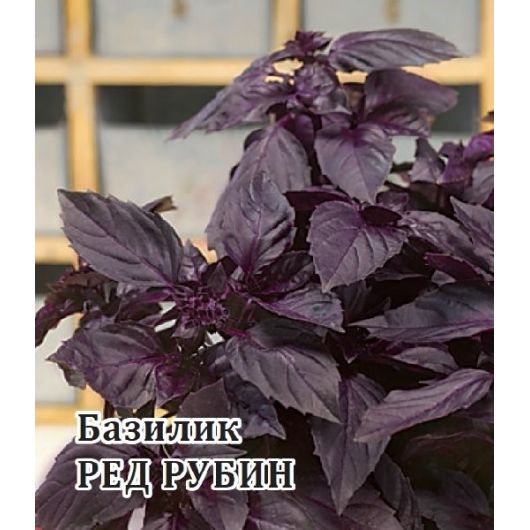 Базилик Ред Рубин 50,0 г