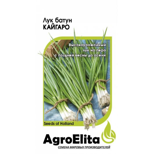 Лук батун Кайгаро 0,2 г (Энза Заден) Агроэлита