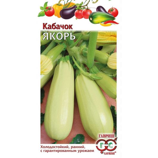 Кабачок Якорь 2 г