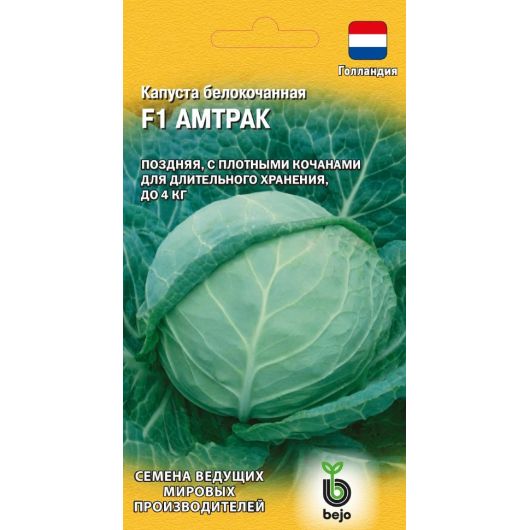 Капуста белокоч. Амтрак F1 10 шт. (для хранения Голландия)