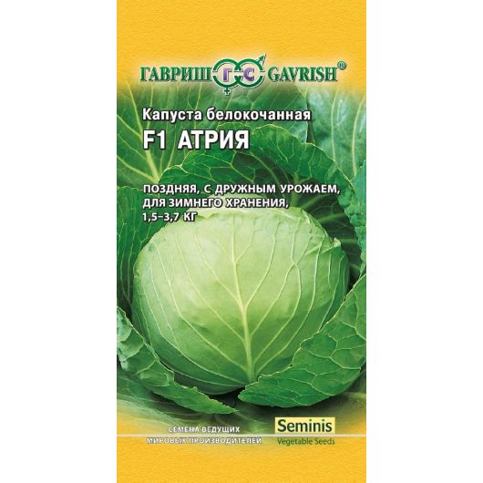 Капуста белокоч. Атрия F1 10 шт. (для квашения Голландия)