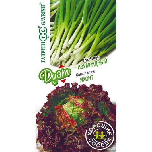Лук батун Изумрудный 0,5 г+Салат Яхонт 0,5 г серия Дуэт Хорошие соседи