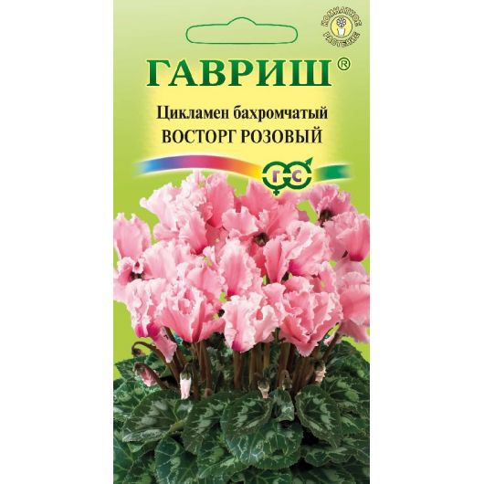 Цикламен Восторг розовый махровый F1* 3 шт. серия Элитная клумба