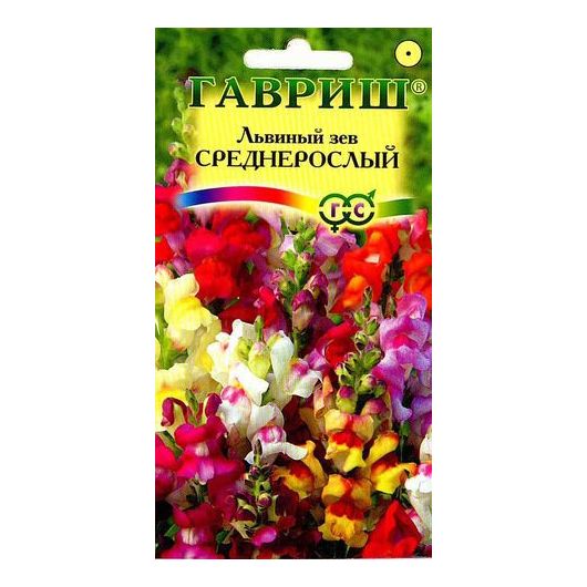 Львиный зев (Антирринум) среднерослый*, смесь 0,05 г