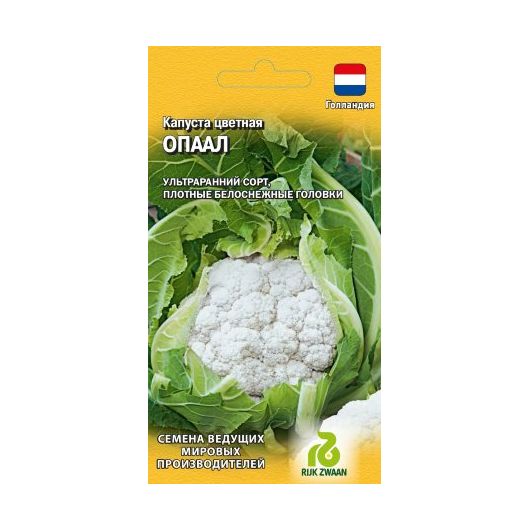 Капуста цветная Опаал 10 шт. (Голландия)