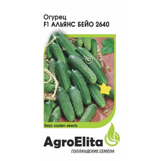 Огурец Альянс Бейо 2640 F1 10 шт. пчел. (Бейо) Агроэлита