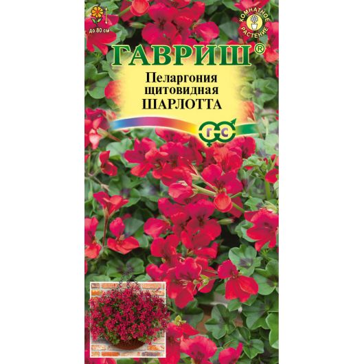 Пеларгония ампельная Шарлотта 3 шт.