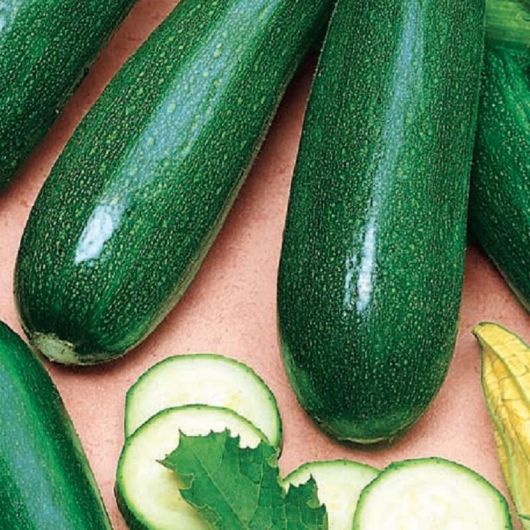 Кабачок Мавр 100,0 г