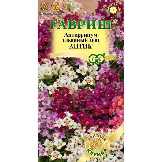 Львиный зев (Антирринум) Антик 7 шт. серия Элитная клумба