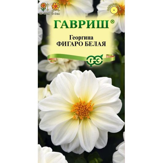 Георгина Фигаро белая  7 шт. негранул.