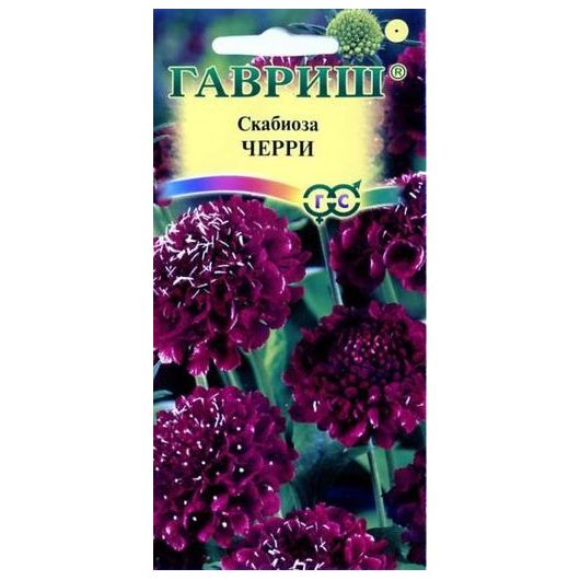 Скабиоза пурпурная Черри, махр. 0,2 г