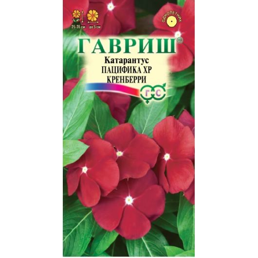 Катарантус Пацифика XP Кренберри 5 шт.* Элитная клумба