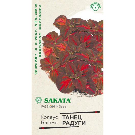 Колеус Танец радуги* 5 шт. Саката серия Эксклюзив